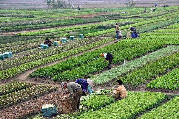 آبیاری هوشمند